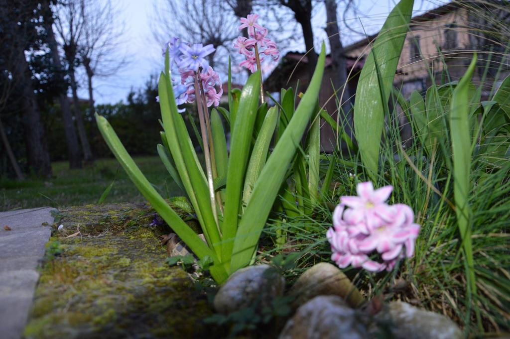 Appartamento Casa Della Nonna Noventa di Piave Eksteriør bilde
