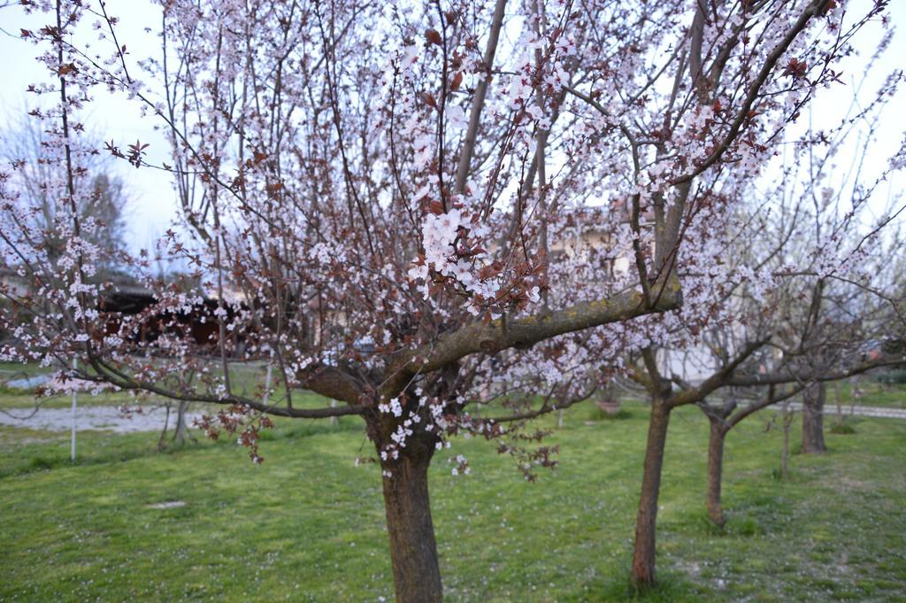 Appartamento Casa Della Nonna Noventa di Piave Eksteriør bilde